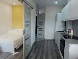 Продается 1-комнатная квартира Следопытов ул, 28.6  м², 6100000 рублей