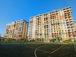 Продается 1-комнатная квартира Старошоссейная ул, 23.97  м², 11732000 рублей