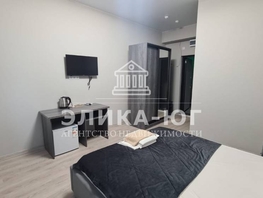 Продается 1-комнатная квартира Приморская ул, 21 м², 3950000 рублей