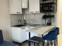 Продается Студия Мирная ул, 22 м², 6600000 рублей