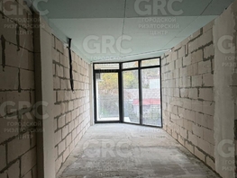 Продается Студия Фабрициуса Я. ул, 30.8 м², 11400000 рублей