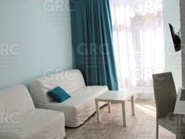 Продается Студия Курортный пр-кт, 24 м², 9500000 рублей