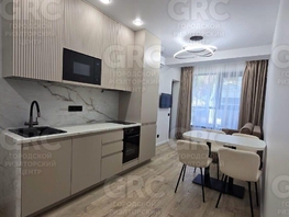 Продается 2-комнатная квартира Пластунская ул, 27.6  м², 14700000 рублей