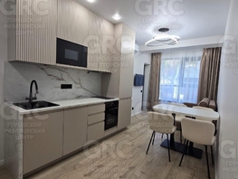 Продается 1-комнатная квартира Пластунская ул, 30  м², 14200000 рублей