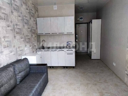 Продается 1-комнатная квартира Лазурная долина ул, 23.4 м², 6300000 рублей