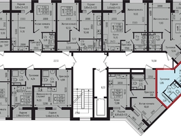 Продается Студия ЖК Ботаника Хилс, лит 3, 24.95  м&sup2;, 7953000 рублей