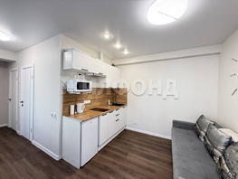 Продается 1-комнатная квартира Подольская ул, 24  м&sup2;, 6800000 рублей