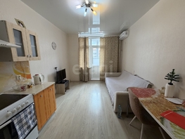 Продается Студия Восточно-Кругликовская ул, 23.4  м&sup2;, 4250000 рублей