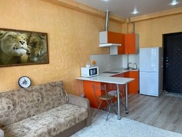 Продается 1-комнатная квартира Калараша ул, 23.7  м², 6800000 рублей