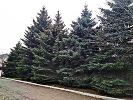 Продается Дом Азовская ул, 1500 м², участок 18 сот., 60000000 рублей