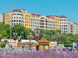 Продается 1-комнатная квартира Чкалова ул, 53  м&sup2;, 18000000 рублей