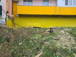 Продается Универ. помещ Габрусева ул, 23  м&sup2;, 3150000 рублей