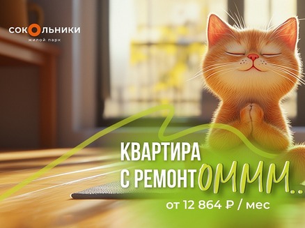 Сокол: Спеццена на ремонт