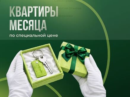 Сокол: Квартиры месяца